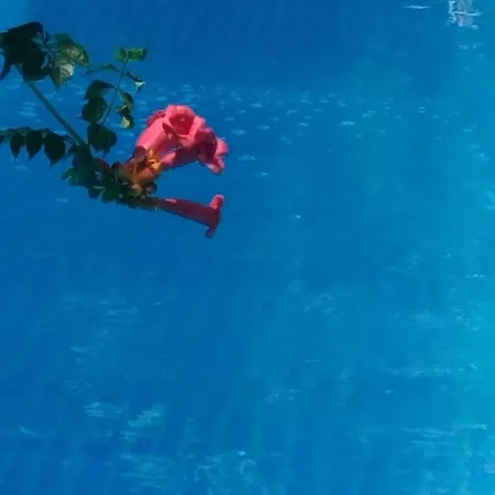 Casa Mea 3* 데포리노드